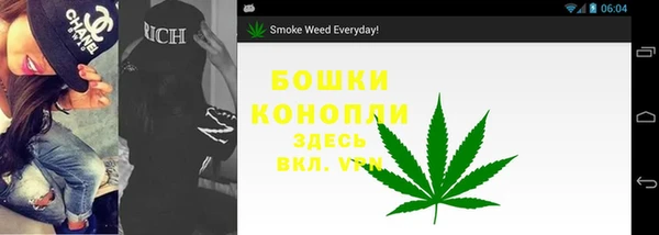 СК Елизово