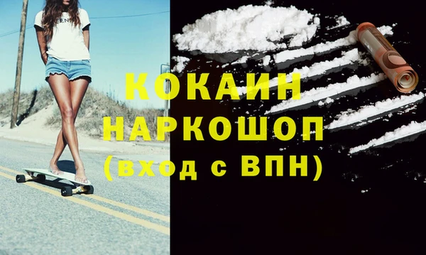 СК Елизово