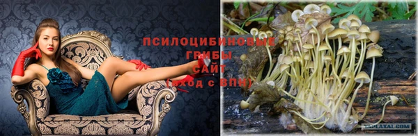 ALPHA-PVP Семилуки