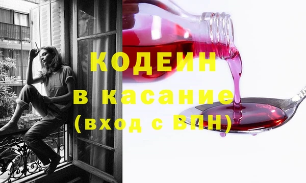 СК Елизово
