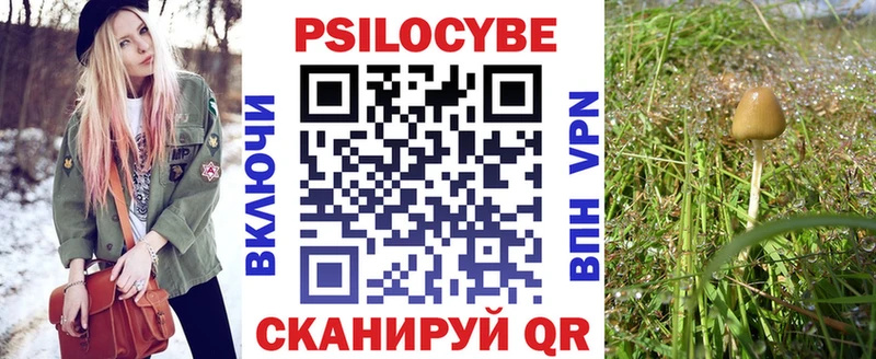 Купить где  Кинешма  Галлюциногенные грибы прущие грибы 