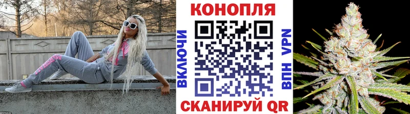 Купить закладки  Кинешма  Конопля тримм 